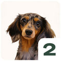 Step 2